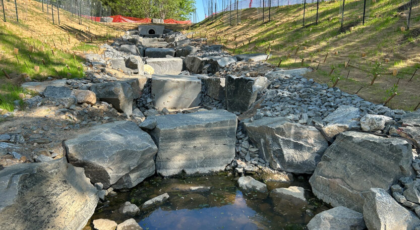 Confluence Park Restoration 1
