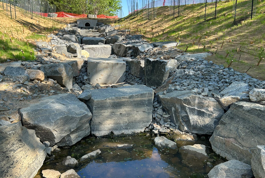 Confluence Park Restoration 1