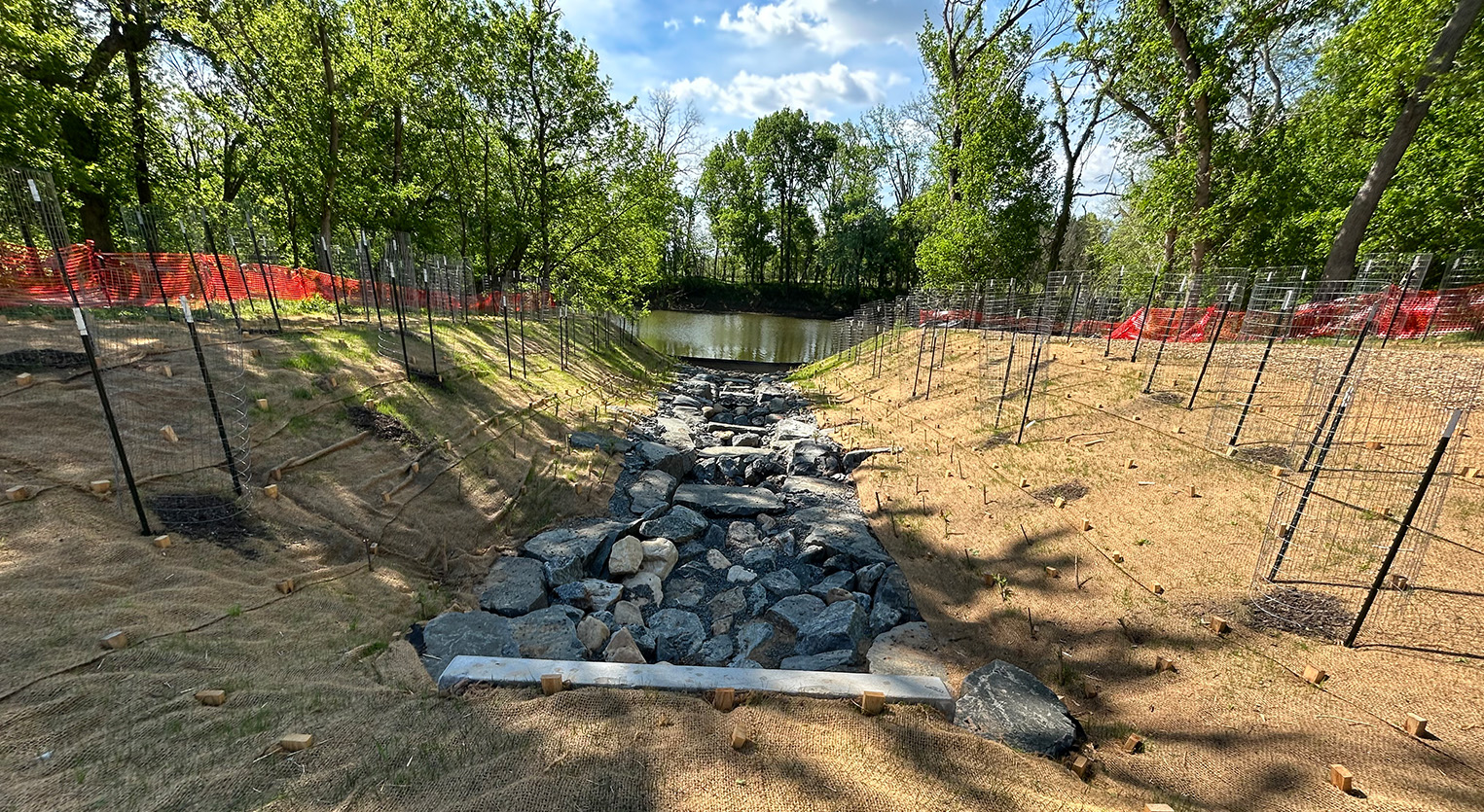 Confluence Park Restoration 3